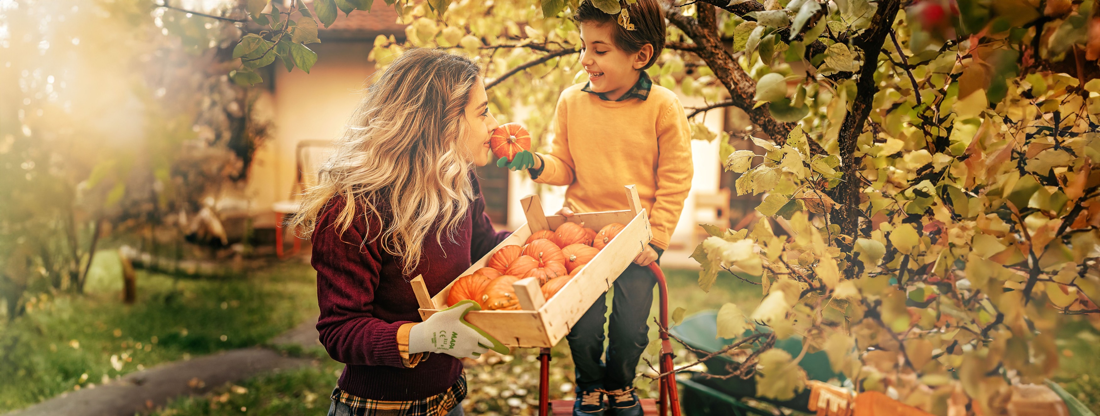 chaque jour, 10 heureux jardiniers remboursés